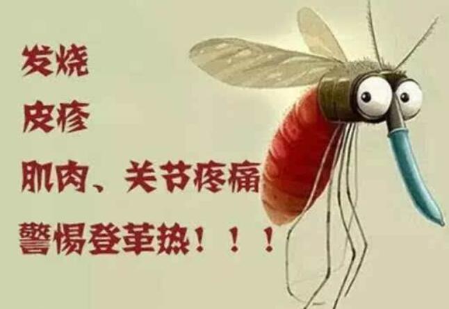 ЇڼկȾǸ,AǸ᣿