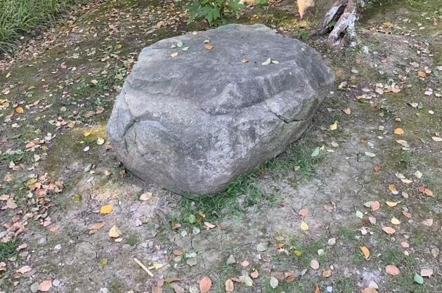 úT,ħŮ