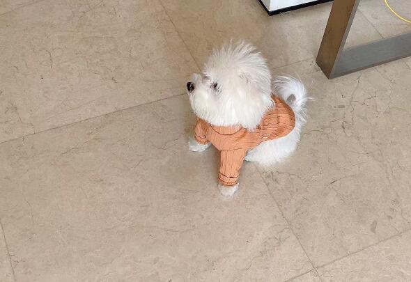 ʲôǲ?\Ӻ͟o\ӵą^(q)e