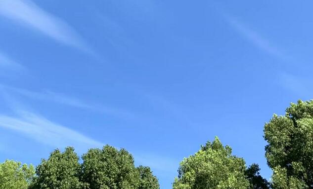 һ˿eQը,wCl(f)¹ôk