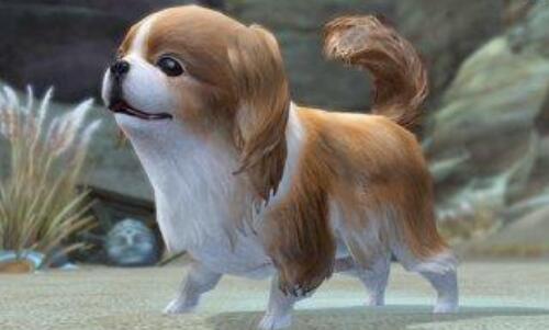 Нôk˽׃