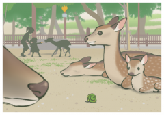 Dʲô˼DռIp˵Ȧ